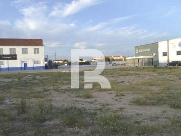 Santarém Salvaterra de Magos 2120 102845829