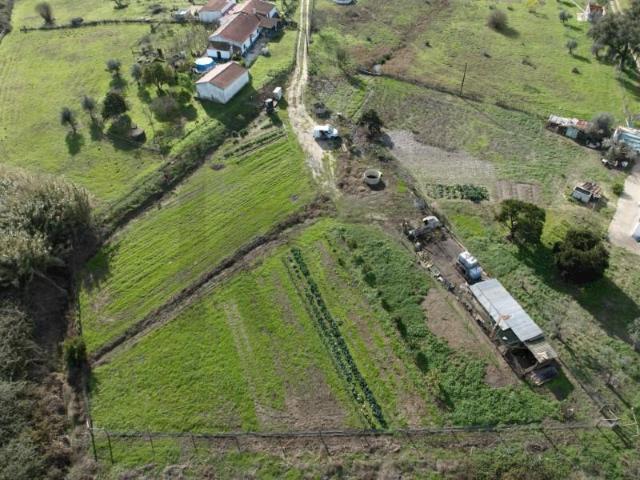 Santiago do Cacém Santiago do Cacém 97938988