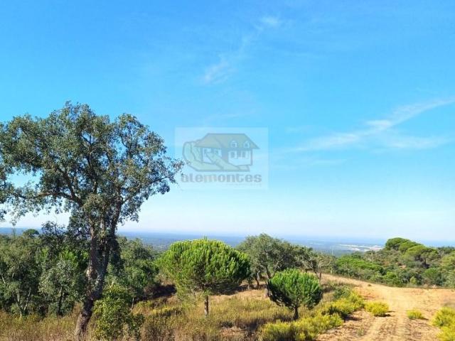 Santiago do Cacém Santiago do Cacém 105641449