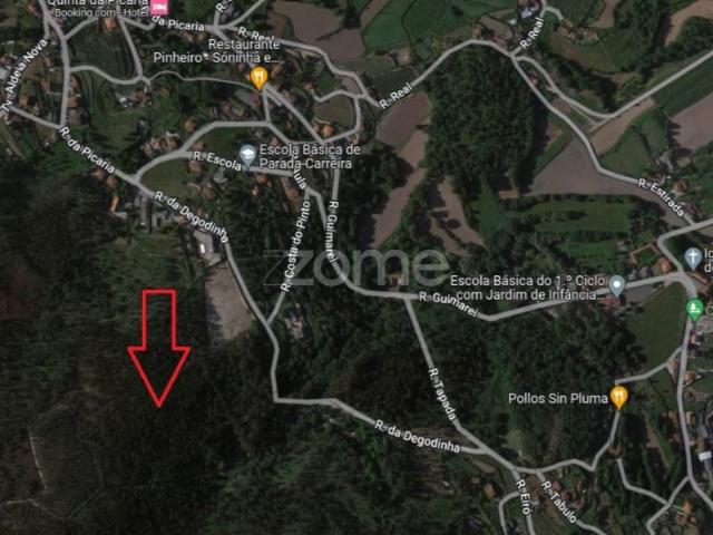Santo Tirso Santo Tirso 4825 203 105344549
