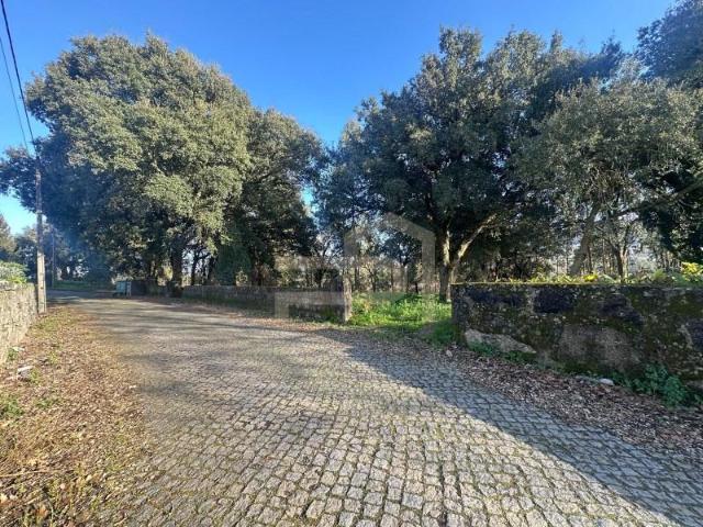 Santo Tirso Santo Tirso 98106631
