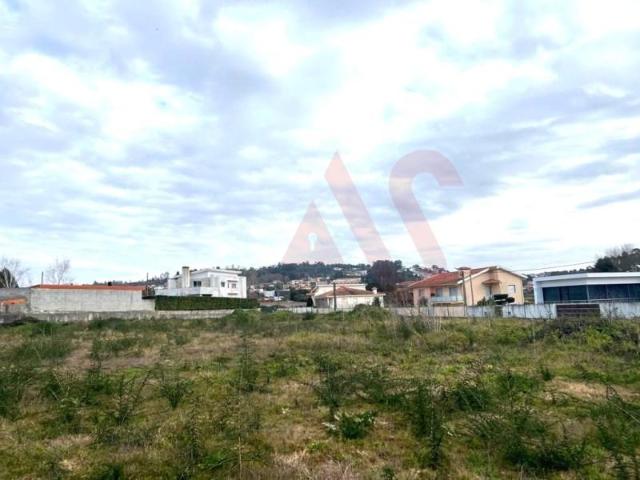 Santo Tirso Santo Tirso 104894304