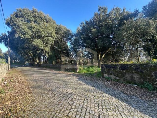 Santo Tirso Santo Tirso 104964502