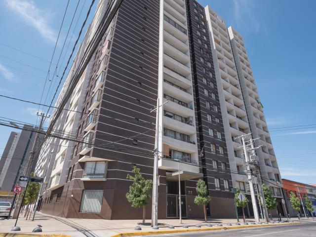 San Gumercindo 77 1 Bod [677 1]