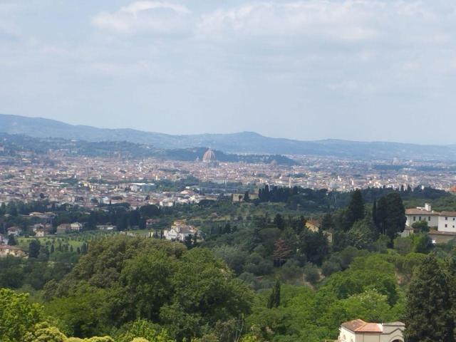 SAN DOMENICO / SETTIGNANO 9 vani 283mq