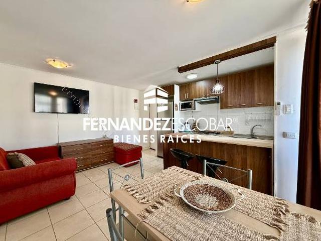SAN FELIPE ARRIENDA DEPTO AMOBLADO 3D 2B 1E