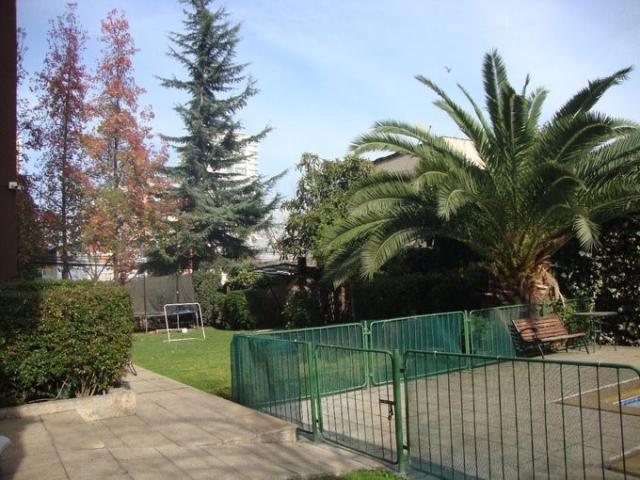 SAN IGNACIO/VENTURA BLANCO VIEL, San Miguel