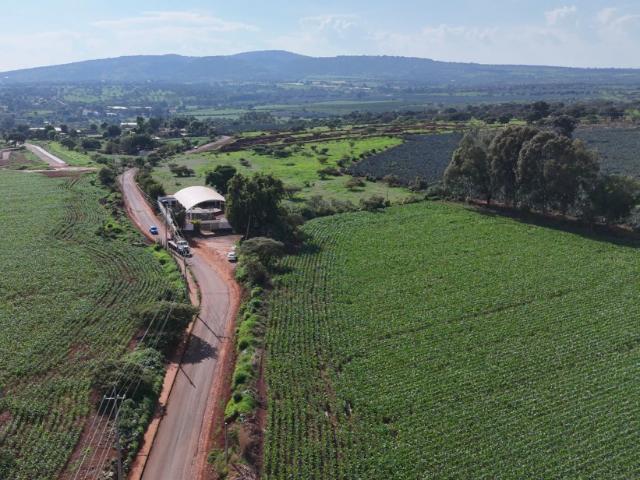 SAN JOSE DE LOS ENCINOS