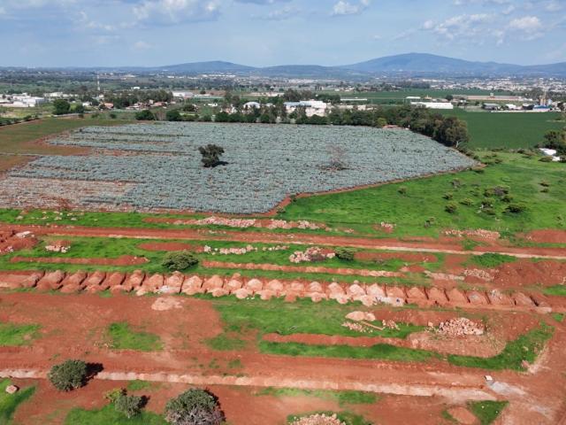 SAN JOSE DE LOS ENCINOS