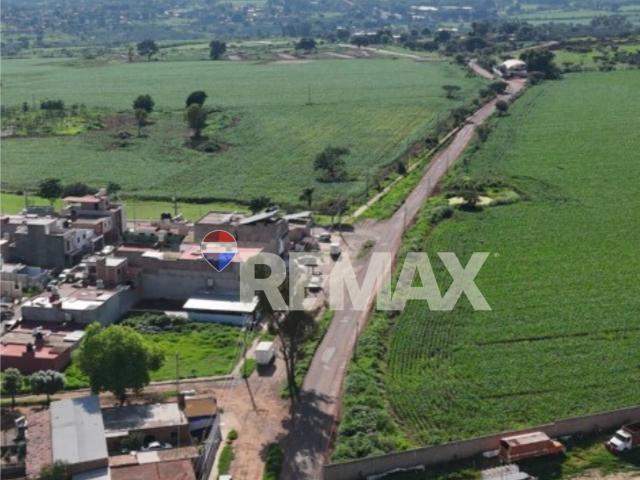 SAN JOSE DE LOS ENCINOS