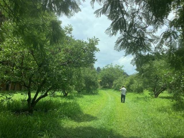 San Juan Atezcapan Valle de Bravo Edo de México