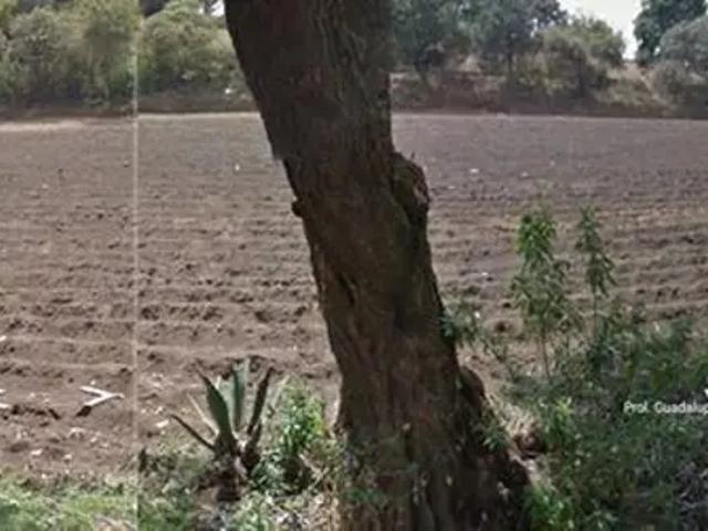 SAN MIGUEL AJUSCO TERRENO SEMIRURAL VENTA TLALPAN CDMX