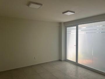 San Miguel Totocuitapilco, Metepec