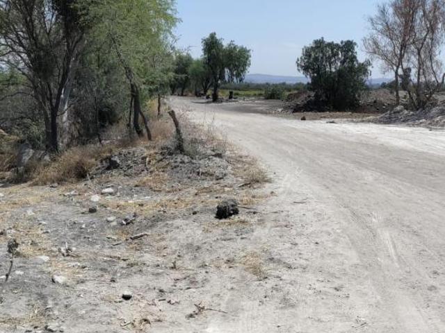SAN MIGUELITO CALERAS P 117