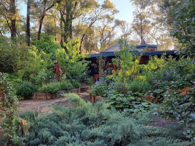 Sanctuary Forest Retreat OffGrid Living 15 Minutes from Bendigo