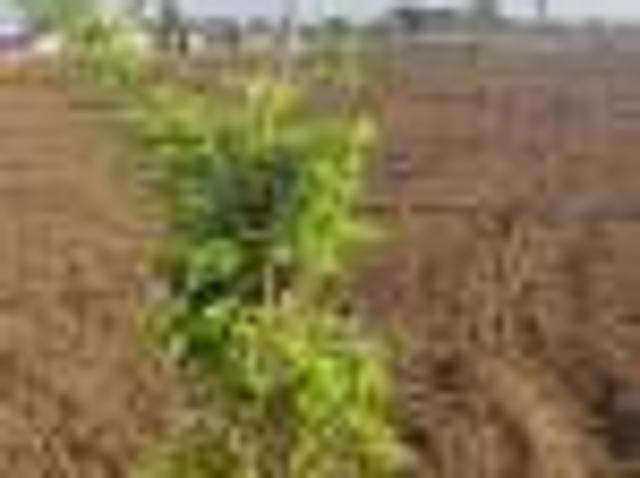 Sangareddy Town Residential Plot For Sale Sangareddy