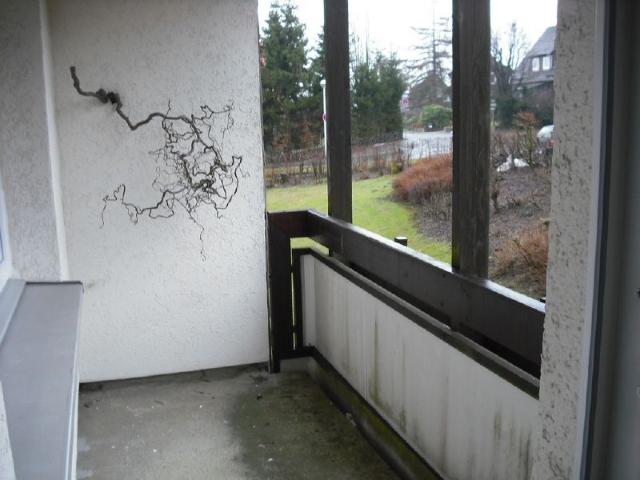 Sanierte 4 Zimmerwohnung mit Dusche, Balkon und Keller