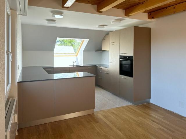 Sanierte 4 1/2 Zimmer Dachwohnung mit Galerie