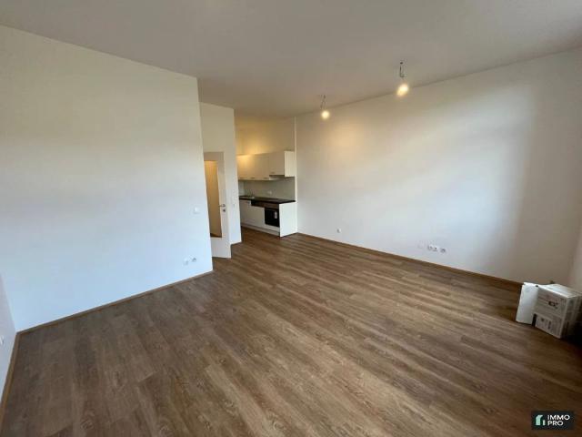 Sanierte 1 Zimmer Wohnung mit neuer Einbauküche in Donawitz zu vermieten
