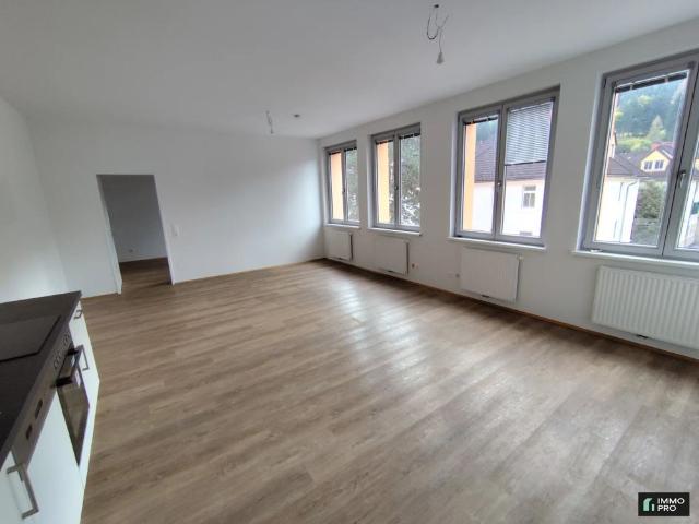 Sanierte 1,5 Zimmer Wohnung in Donawitz zu vermieten Kerpelystraße