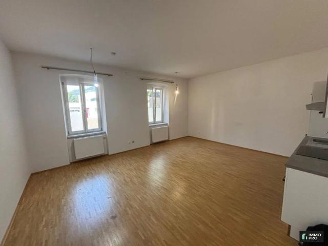 Sanierte 1,5 Zimmer Wohnung in Judendorf zu vermieten