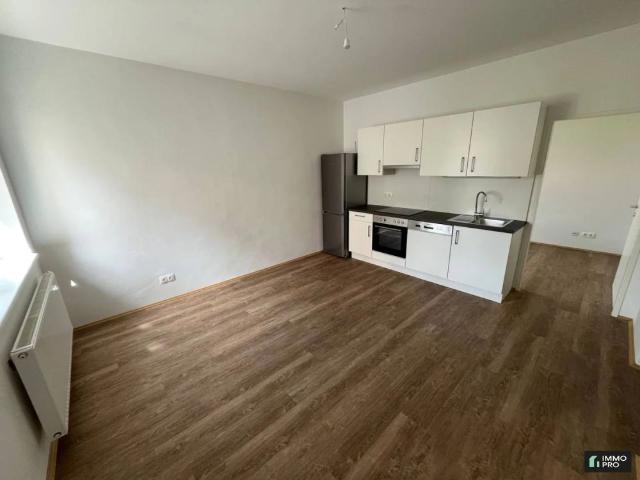 Sanierte 1,5 Zimmer Wohnung in Trofaiach mieten