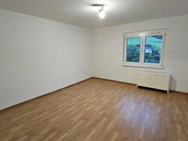 unbefristete und sanierte 2 Zimmerwohnung in Waidhofen