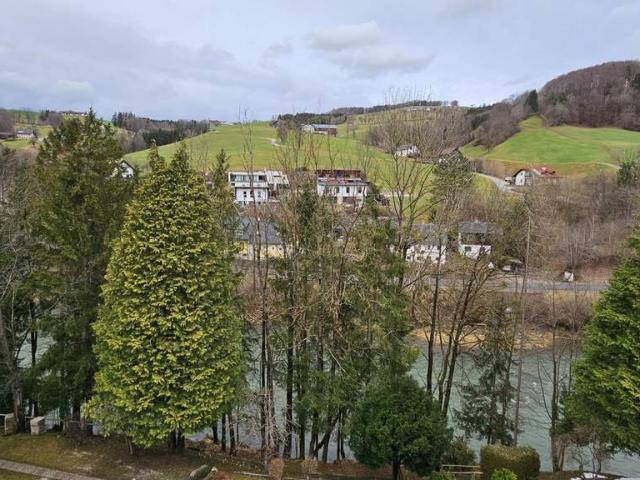 unbefristete und sanierte 2 Zimmerwohnung in Waidhofen