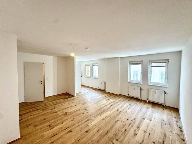 Sanierte! 2 Zimmerwohnung in 1120 Wien nahe Bahnhof Meidling zu vermieten!