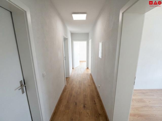 sanierte 3 raum wohnung in toplage mit küche!