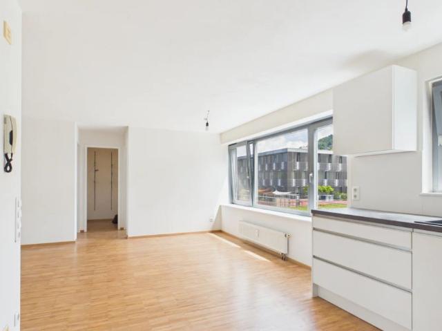 Sanierte 3 Zimmer Eckwohnung mit westseitiger Terrasse – Ruhelage mit bester Infrastruktur