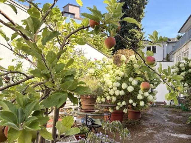 Sanierte 3 Zimmerwohnung mit Balkon und Gartennutzung mitten in der City!