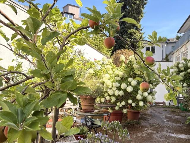 Sanierte 3 Zimmerwohnung mit Balkon und Gartennutzung mitten in der City!