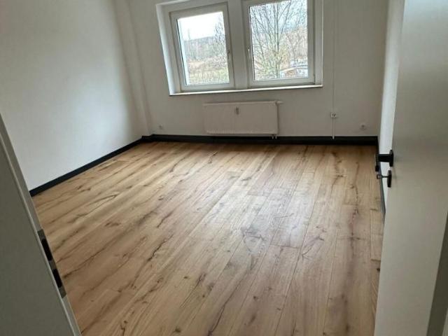 Sanierte Wohnung mit Charme in der Franz Mehring Str