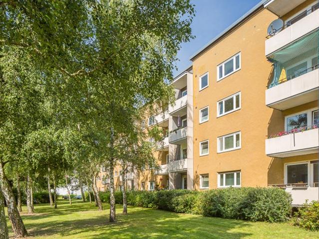sanierte Wohnung mit neuen Bodenbelag