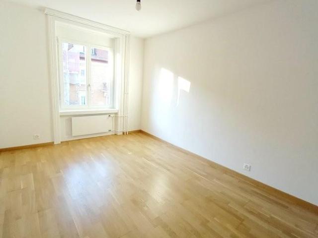 Sanierte Altbauwohnung nähe Goldbrunnenplatz