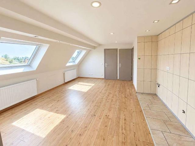 sanierte DG Wohnung in Zentrumsnähe