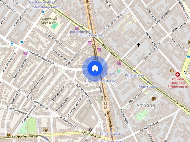 Sanierte Single Wohnung im Stadtzentrum