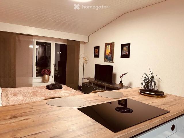 Sanierte Studiowohnung inkl Südbalkon und Aussenstellplatz