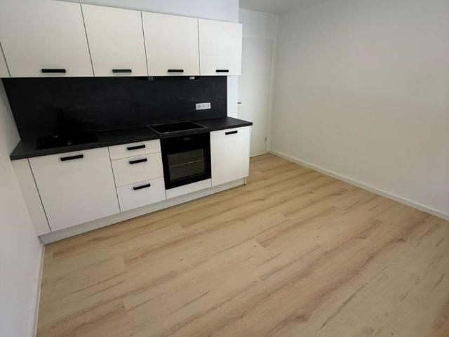 Saniertes 1 Zimmer Apartment WE.2