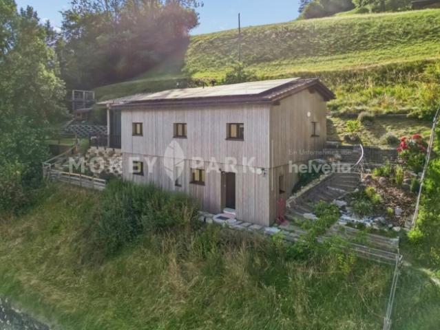 Saniertes 4.5 Zimmer Einfamilienhaus an Südhang Sonnenlage über Chur