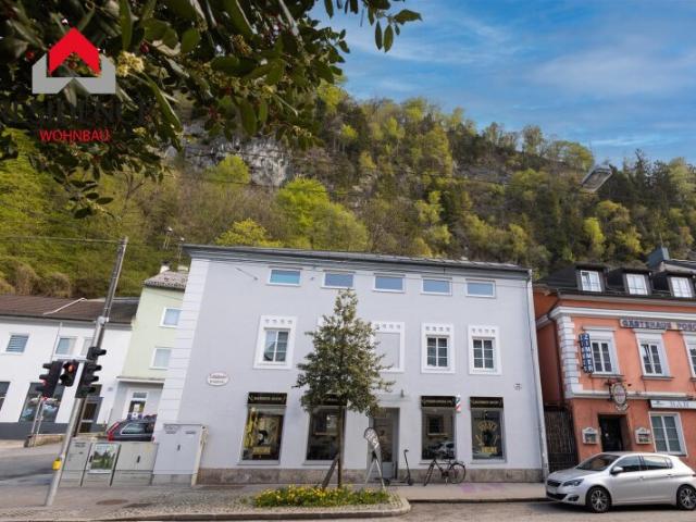 saniertes und sehr gut vermietetes Zinshaus nähe Linzergasse