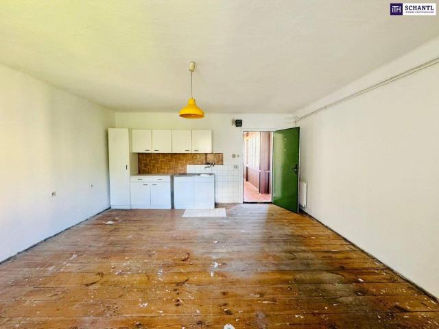 Sanierungsbedürftig Charmante 55m2 Wohnung mit Potenzial in zentraler Grazer Lage nähe FH!