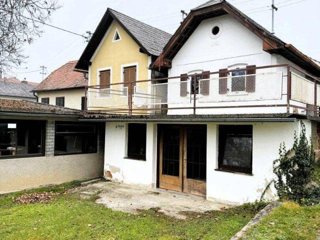 Sanierungsbedürftiger Weinkeller/Wohnhaus mit Weingarten