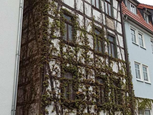 sanierungsbedürftiges Fachwerkhaus in zentraler Lage