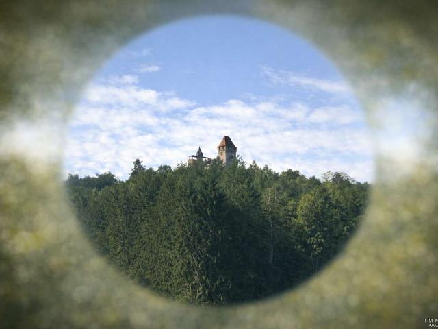 Sanierungsobjekt in Erlenbach mit einzigartigem Blick auf Burg Berwartstein