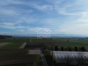 Brüttelen, Verwaltungskreis Seeland, Verwaltungsregion Seeland, Kanton Bern