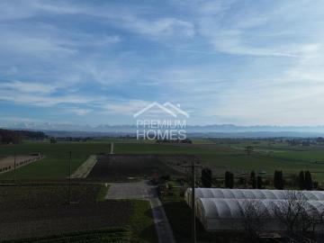 Brüttelen, Verwaltungskreis Seeland, Verwaltungsregion Seeland, Kanton Bern