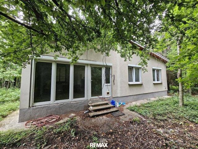 SANIERUNGSPROJEKT MIT VIEL POTENZIAL | ca. 1.085 m² Grundstücksfläche | Ruhelage in Mitterndorf an der Fischa
