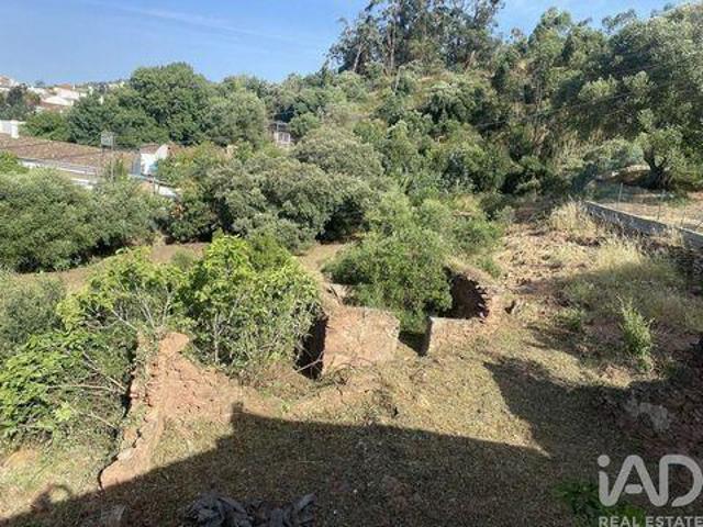 Sao Bras De Alportel Faro 100057659